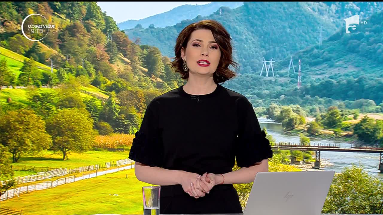 G&acirc;ndacii care blochează construcția autostrăzii Sibiu- Piteşti, mutați cu ajutorul feromonilor. Specialişti au o altă părere