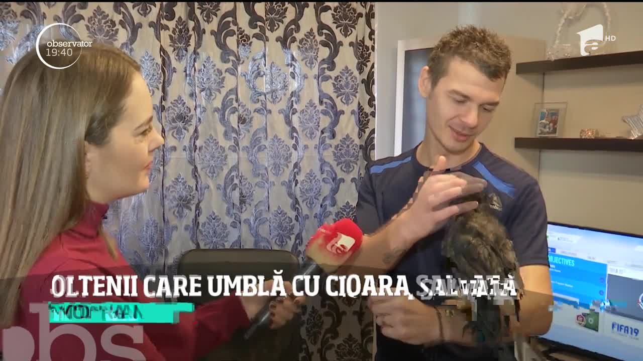 Tinerii din T&acirc;rgu Jiu care au ca animal de companie o cioară