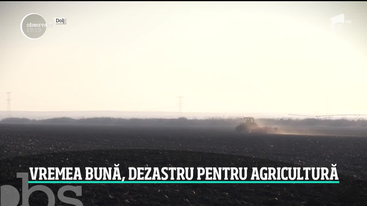 Vremea frumoasă din mijlocul iernii, dezastru pentru agricultură. Legumele şi fructele, mai scumpe chiar şi cu 20 la sută