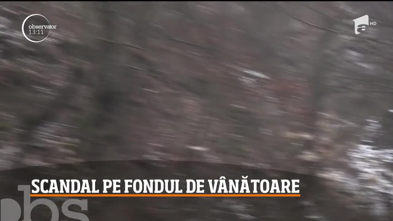 Scandal pe un fond de v&acirc;nătoare din Bistriţa Năsăud. Leşul unui cal a fost folosit pentru a atrage carnivorele mari &icirc;n bătaia puştii