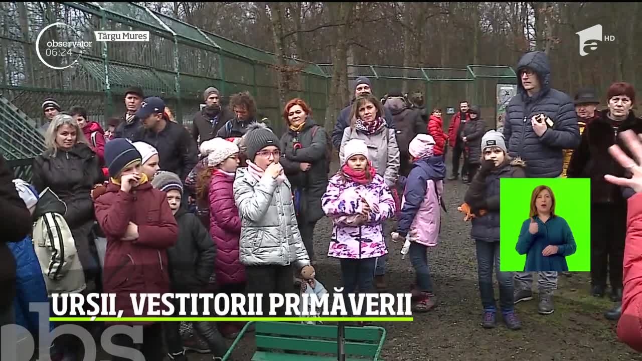 Ursii, vestitorii primăverii