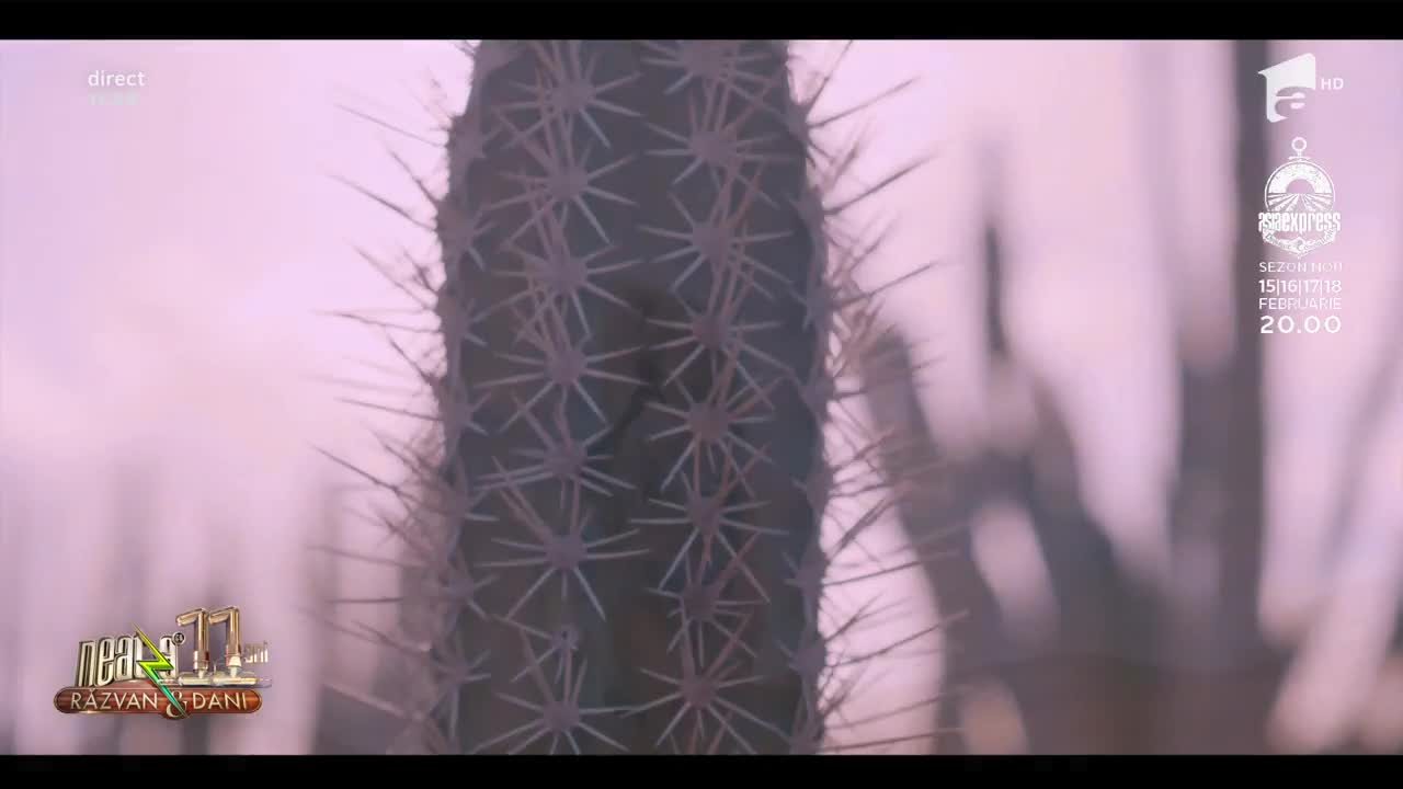 Cel mai nou videoclip semnat Anna Lesko - "Bine am revenit"