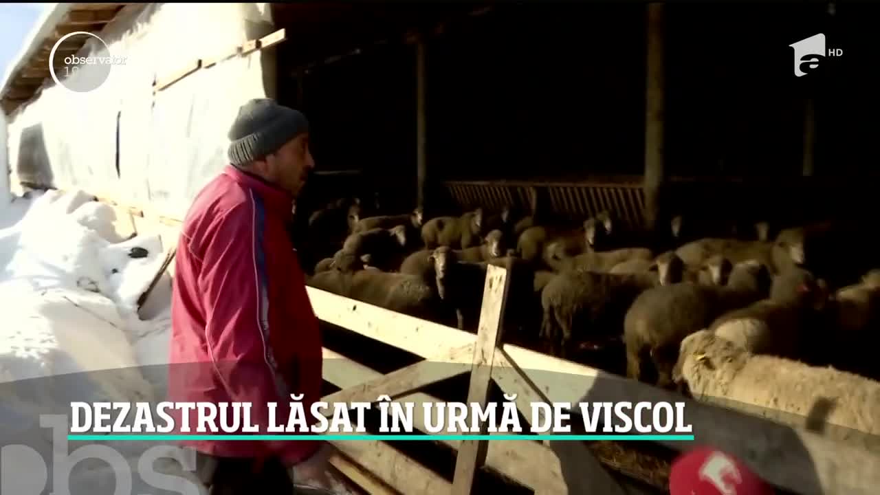 Mii de rom&acirc;ni, prizonierii viscolului care a lovit Rom&acirc;nia