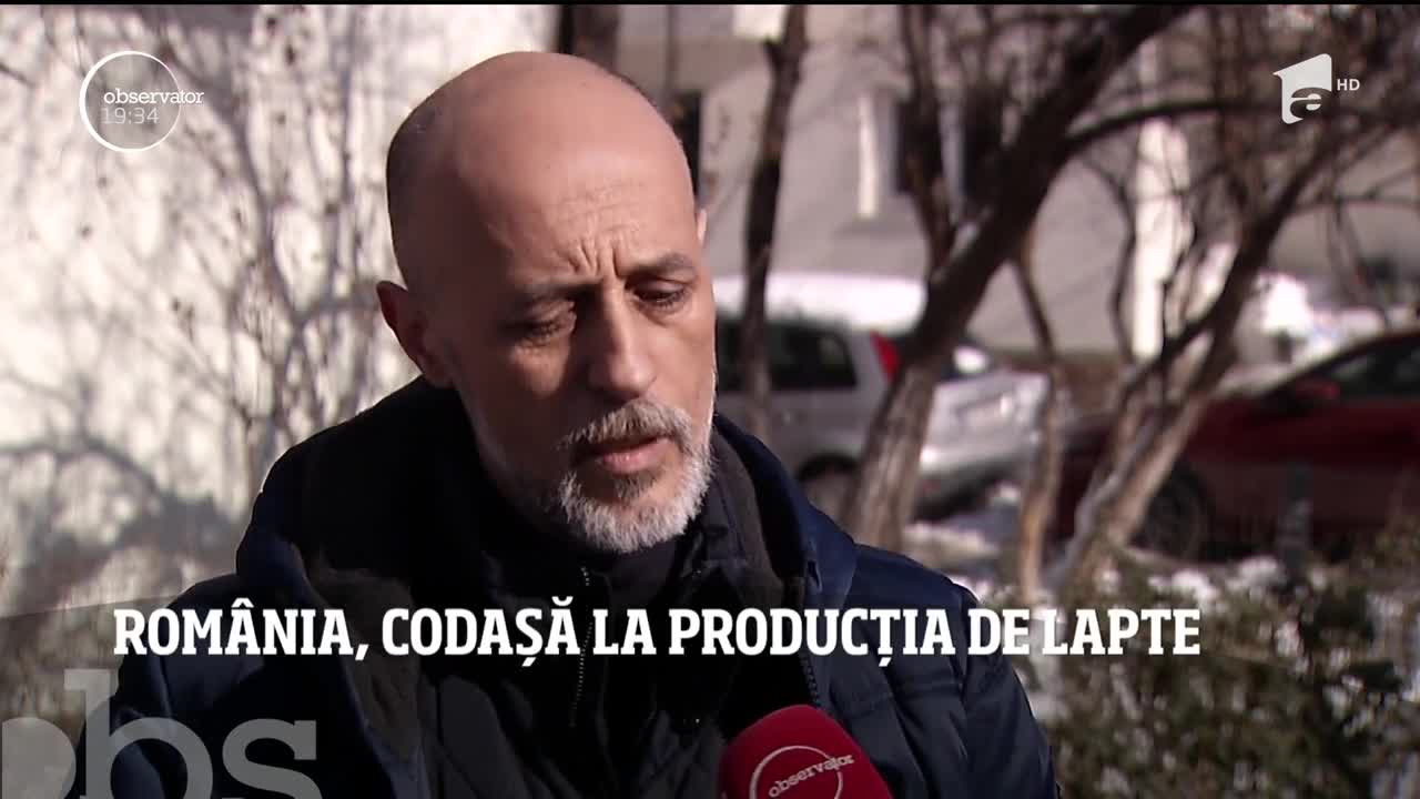 Rom&acirc;nia, codașă la producția de lapte