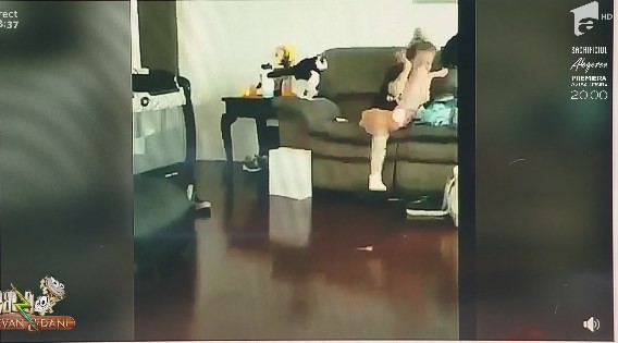 Smiley News - Neatza cu Răzvan și Dani. Papagalul care &icirc;și face selfie, pisica bătăușă și pasărea care imită alarma de mașină