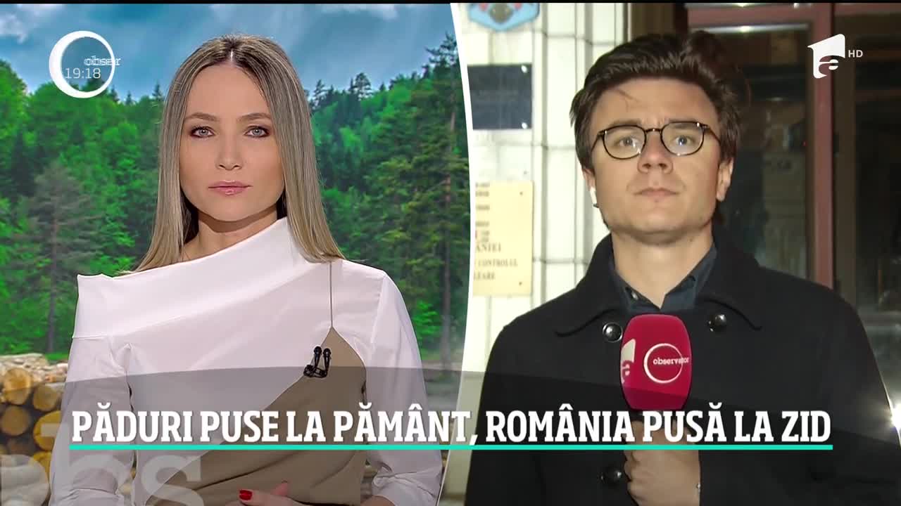 Rom&acirc;nia &icirc;şi pune pădurile la păm&acirc;nt, Europa ne pune la zid! Vom plăti amenzi uriaşe, dacă statul nu opreşte defrişările ilegale