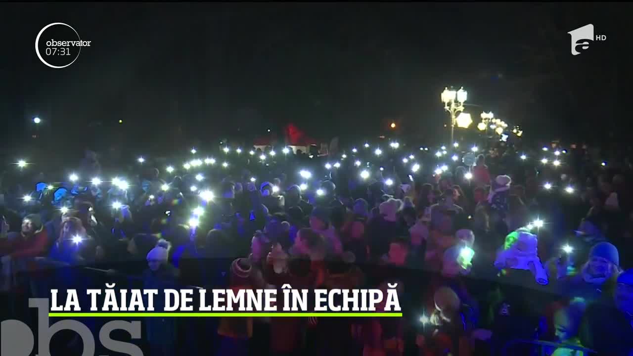 Competiţie inedită de taiat lemne cu joagărul