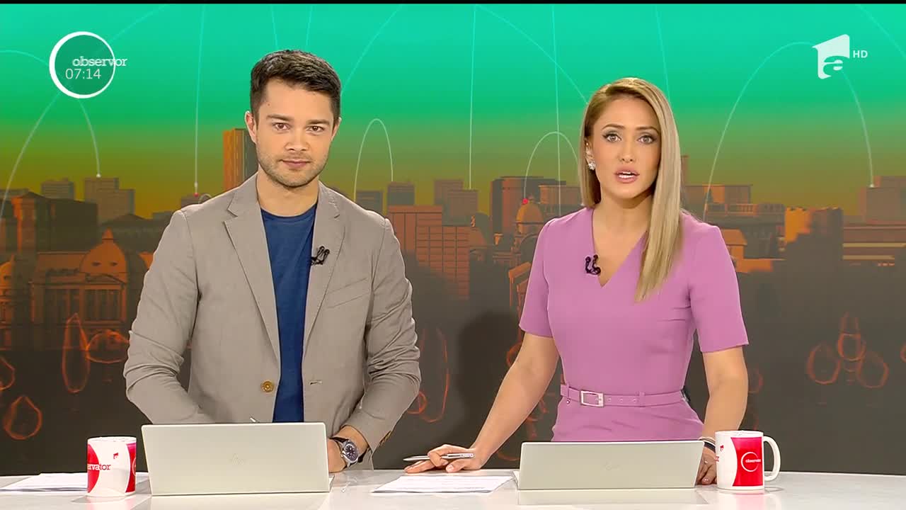 Tablourile cu licheni colorați, la mare căutare. Acestea purifică aerul și reduc stresul