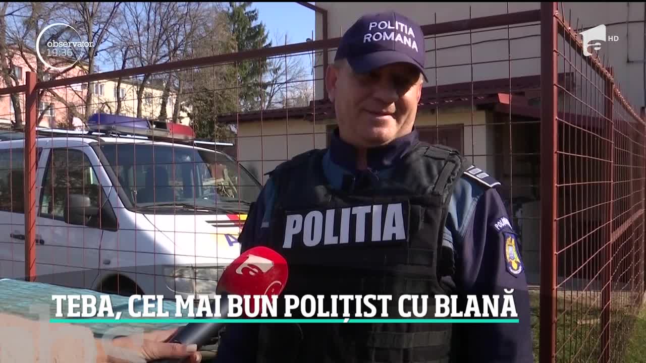 Cățelușa Teba, cel mai bun polițist cu blană