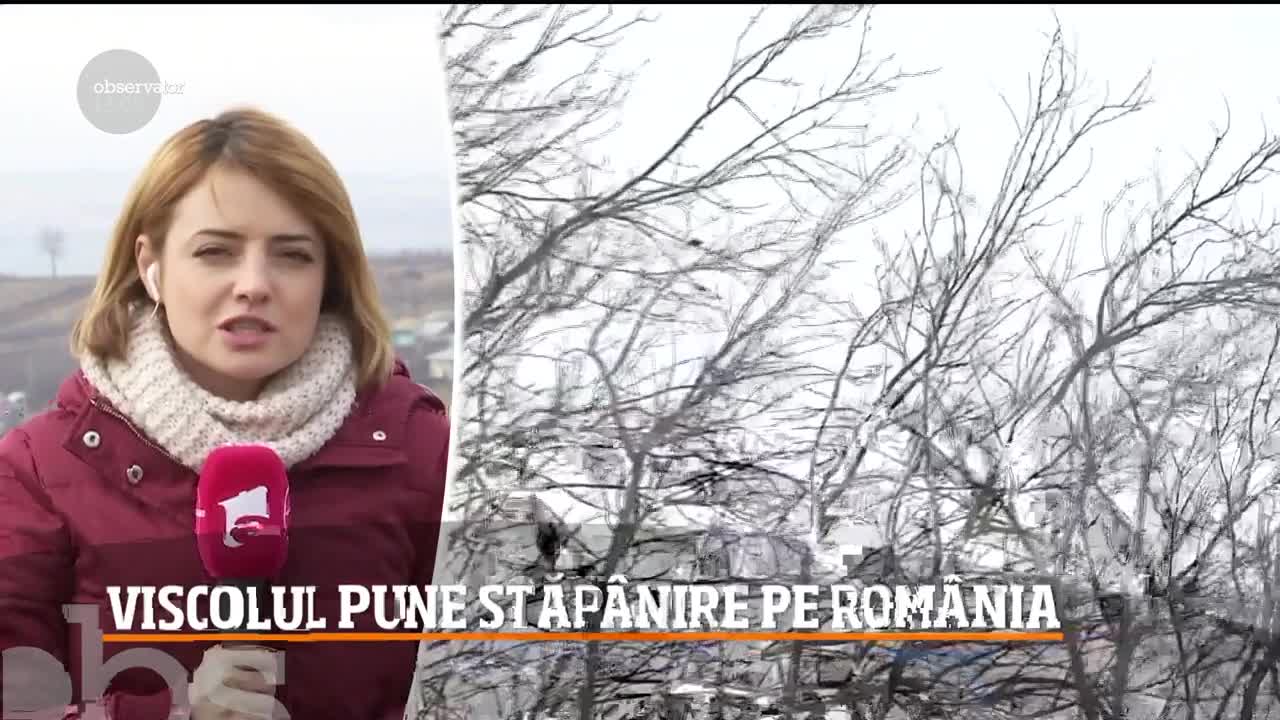 Viscolul pune stăp&acirc;nire pe Rom&acirc;nia. Care sunt cele mai afectate zone
