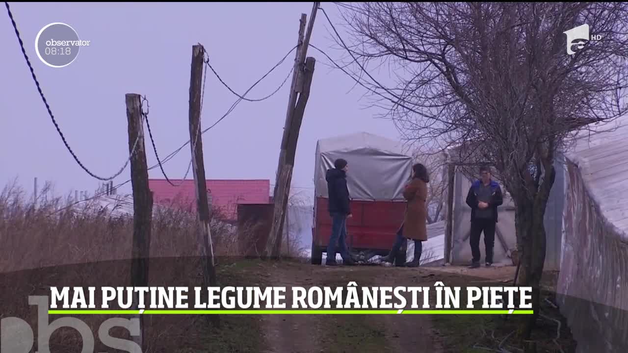Legumele rom&acirc;neşti, mai puţine şi mai scumpe. Vremea nu a ţinut deloc cu legumicultorii