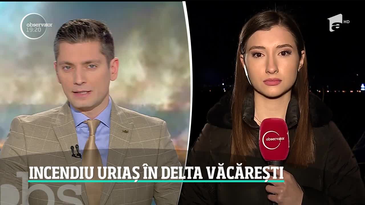 Incendiu devastator &icirc;n Delta Văcăreşti, parcul natural din sudul Bucureştiului!