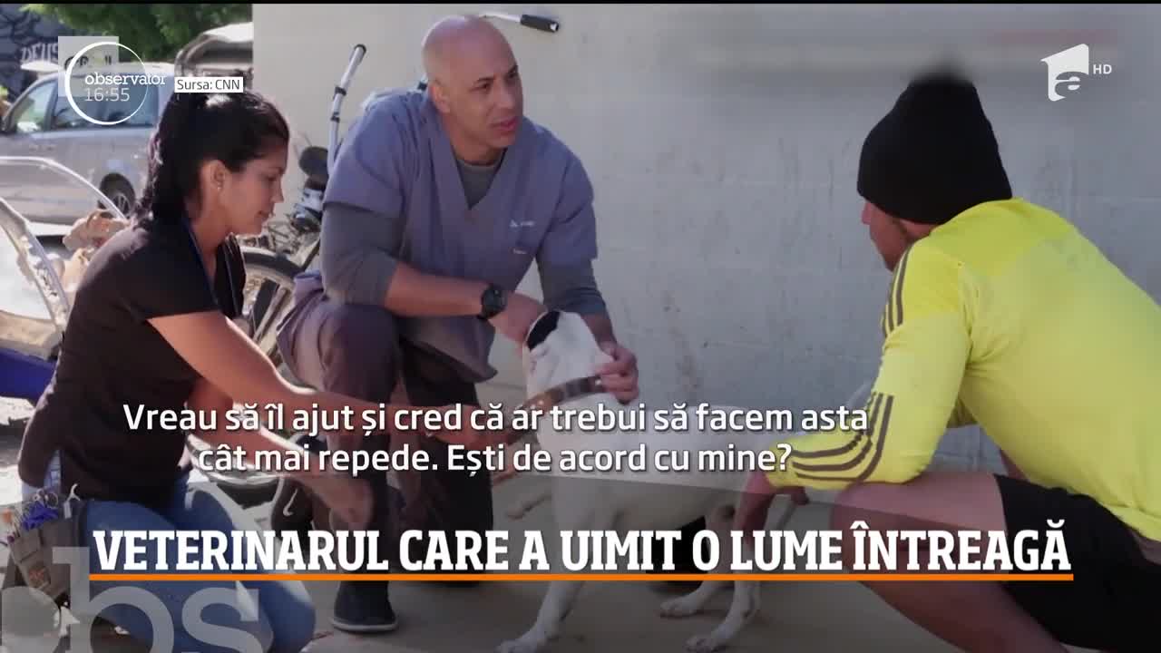 Un veterinar american şi-a făcut o misiune din a &icirc;ngriji animalele deţinute de persoanele fără adăpost