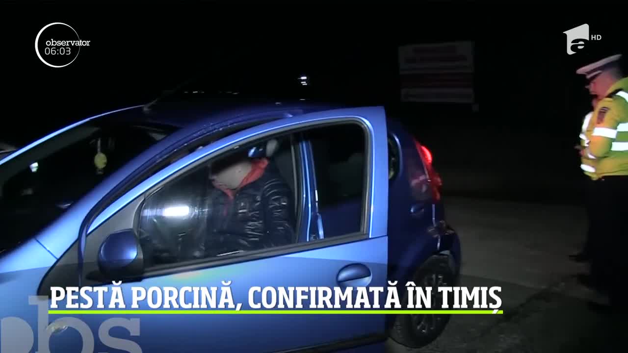 &Icirc;n Vestul ţării s-a dat alarma din nou! Pesta Porcină a fost confirmată de medicii veterinari la o minifermă din judeţul Timiş