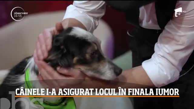 Adrian Stoica și cățelușa Hurricane au ajuns &icirc;n finala iUmor