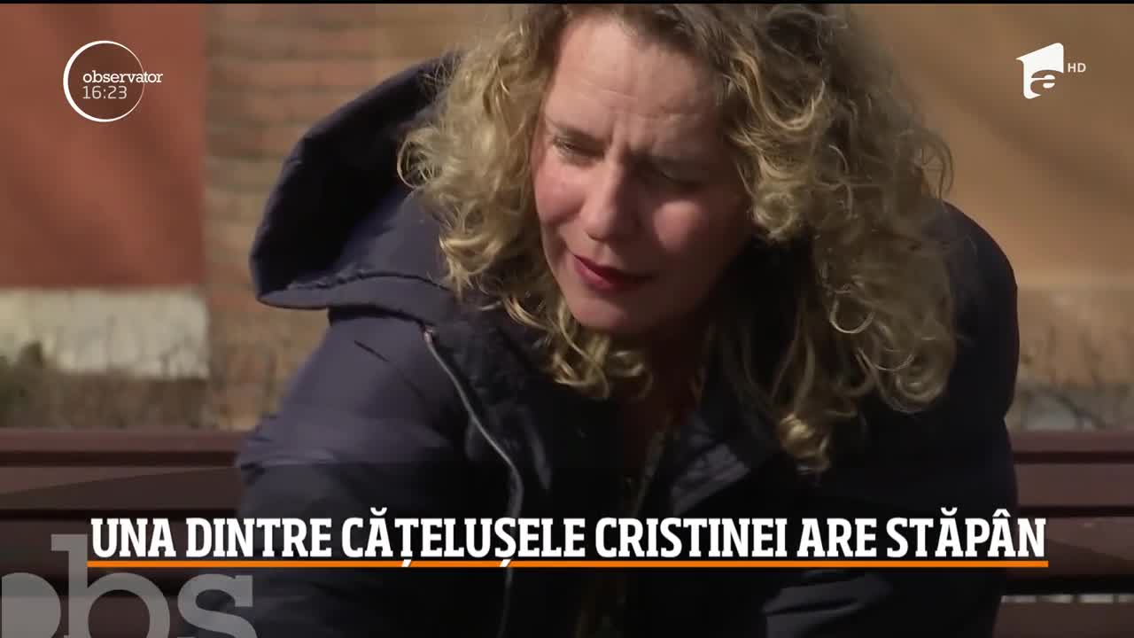 Una dintre căţeluşele Cristinei Ţopescu a fost adoptată de o braşoveancă, după ce a stat în reabilitare la o dresoare din Sibiu