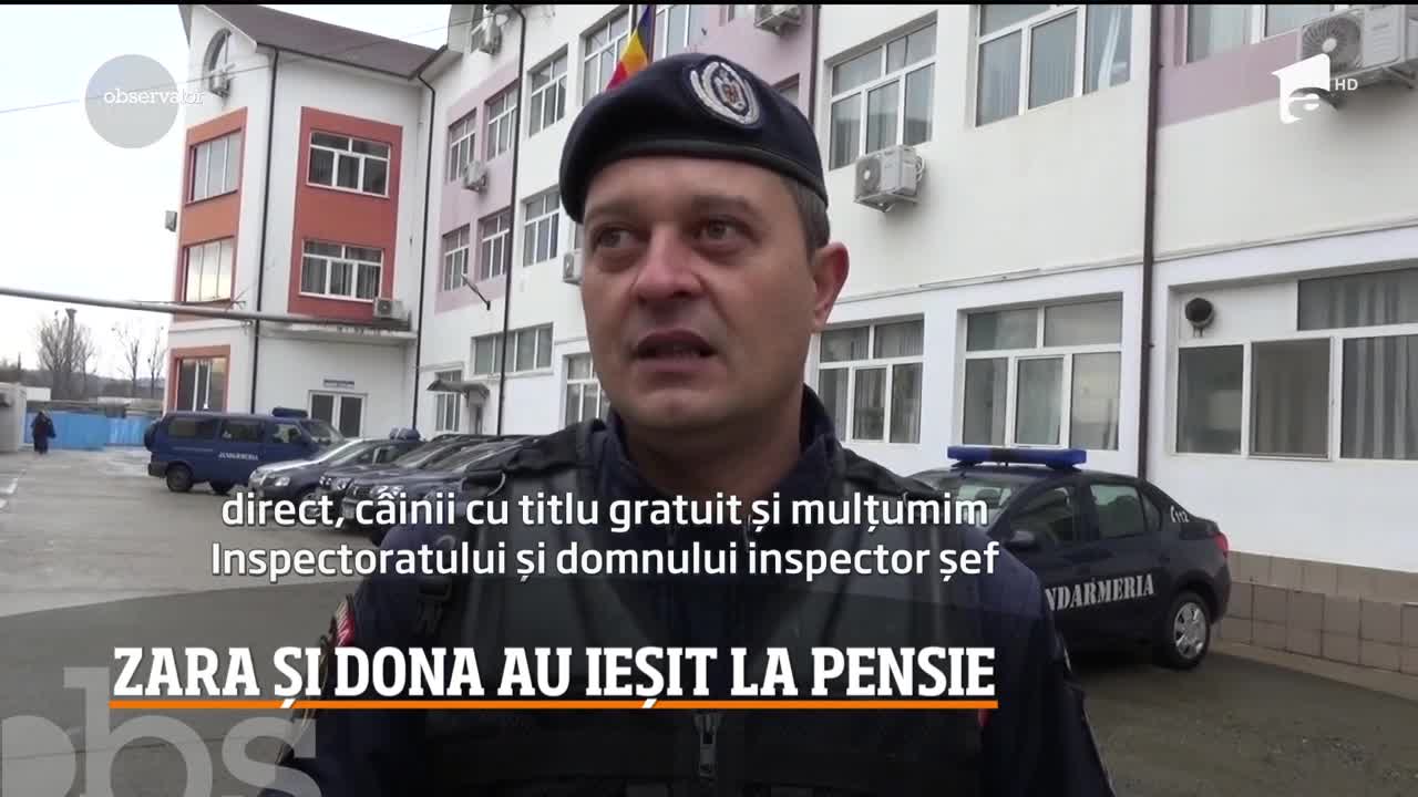 Zara şi Dona, două căţeluşe ale Jandarmeriei Bistriţa-Năsăud, au ieşit la pensie