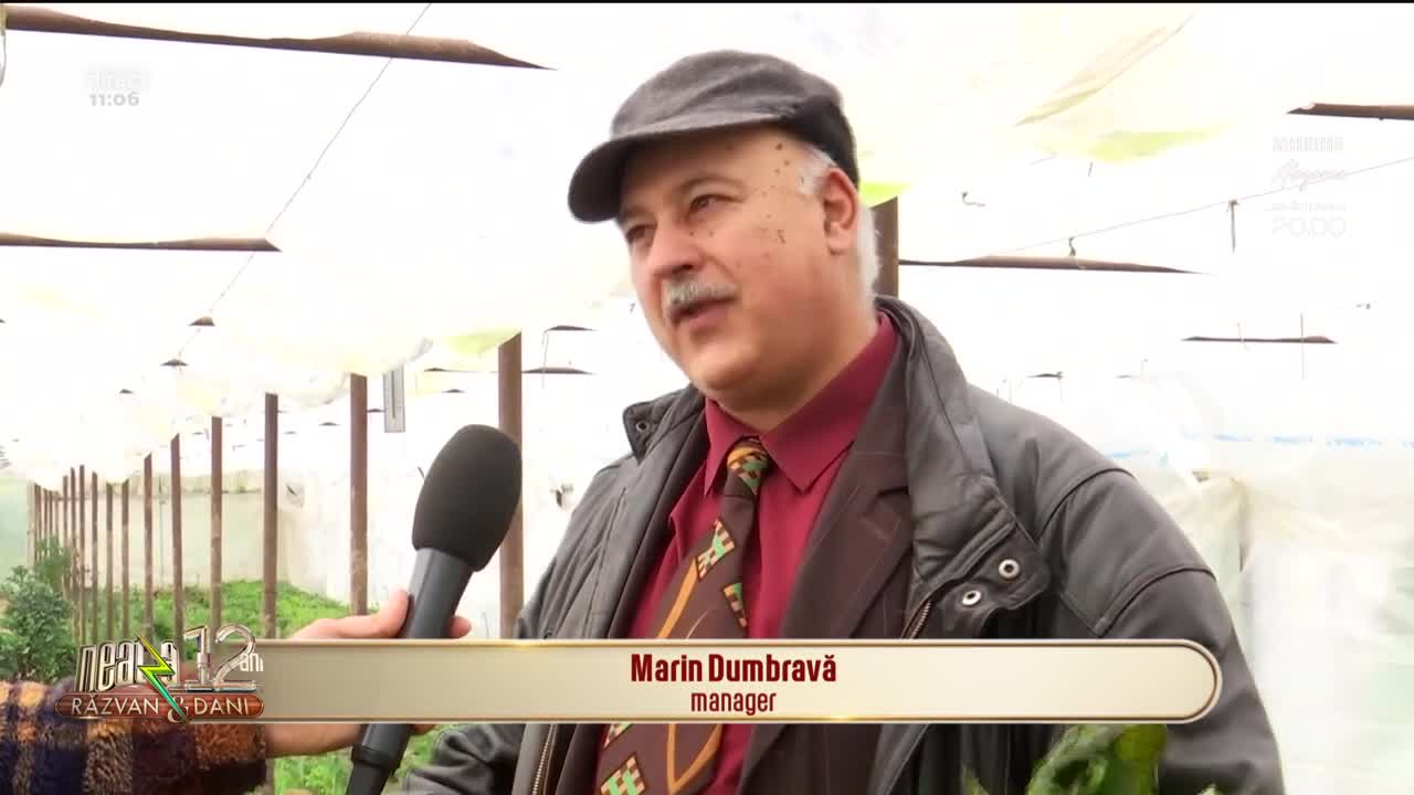 Cele mai căutate verdețuri de primăvară