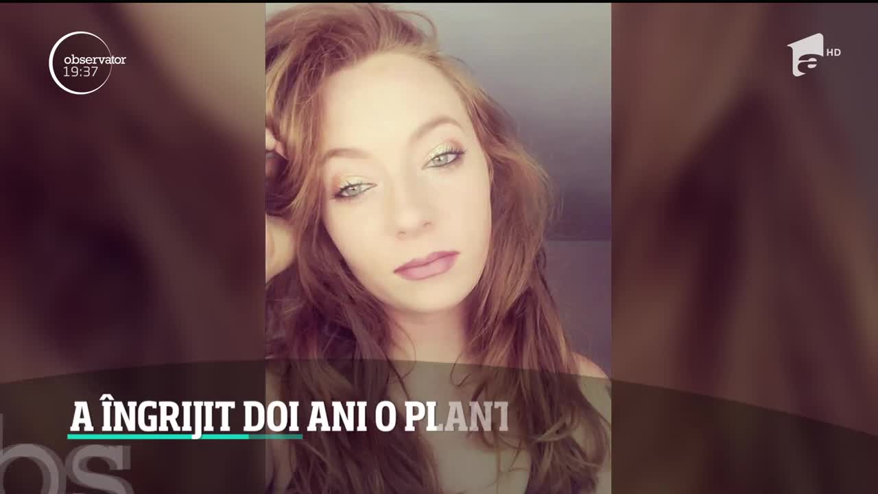 O femeie din California a udat timp de doi ani o plantă, p&acirc;nă c&acirc;nd a realizat că, de fapt, era artificială