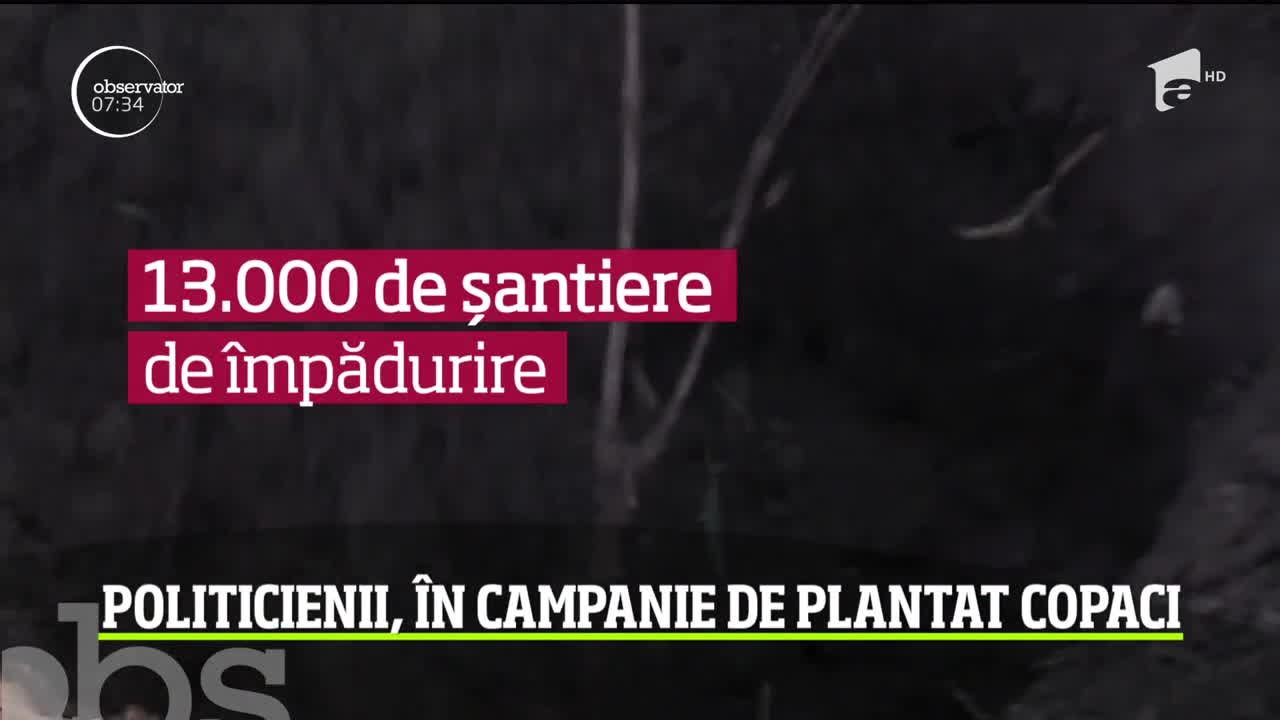 Nu mai este un secret că Rom&acirc;nia are o problemă cu defrişările masive. Autorităţile au &icirc;nceput o campanie de &icirc;mpădurire