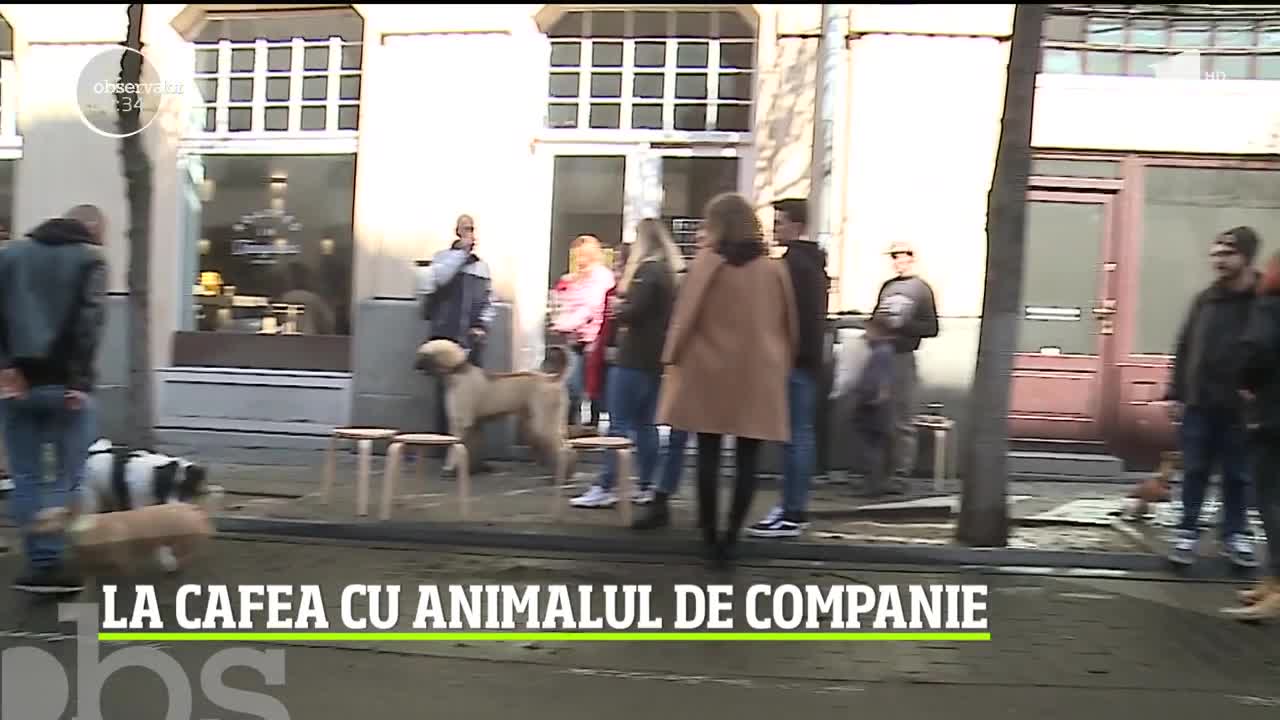 Iniţiativă inedită &icirc;ntr-un local din T&acirc;rgu Mureş! Peste o sută de iubitori de animale au băut cafeaua alături de prietenii lor patrupezi
