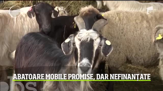 Abatoarele mobile promise &icirc;n Gorj, aprobate dar nefinanțate