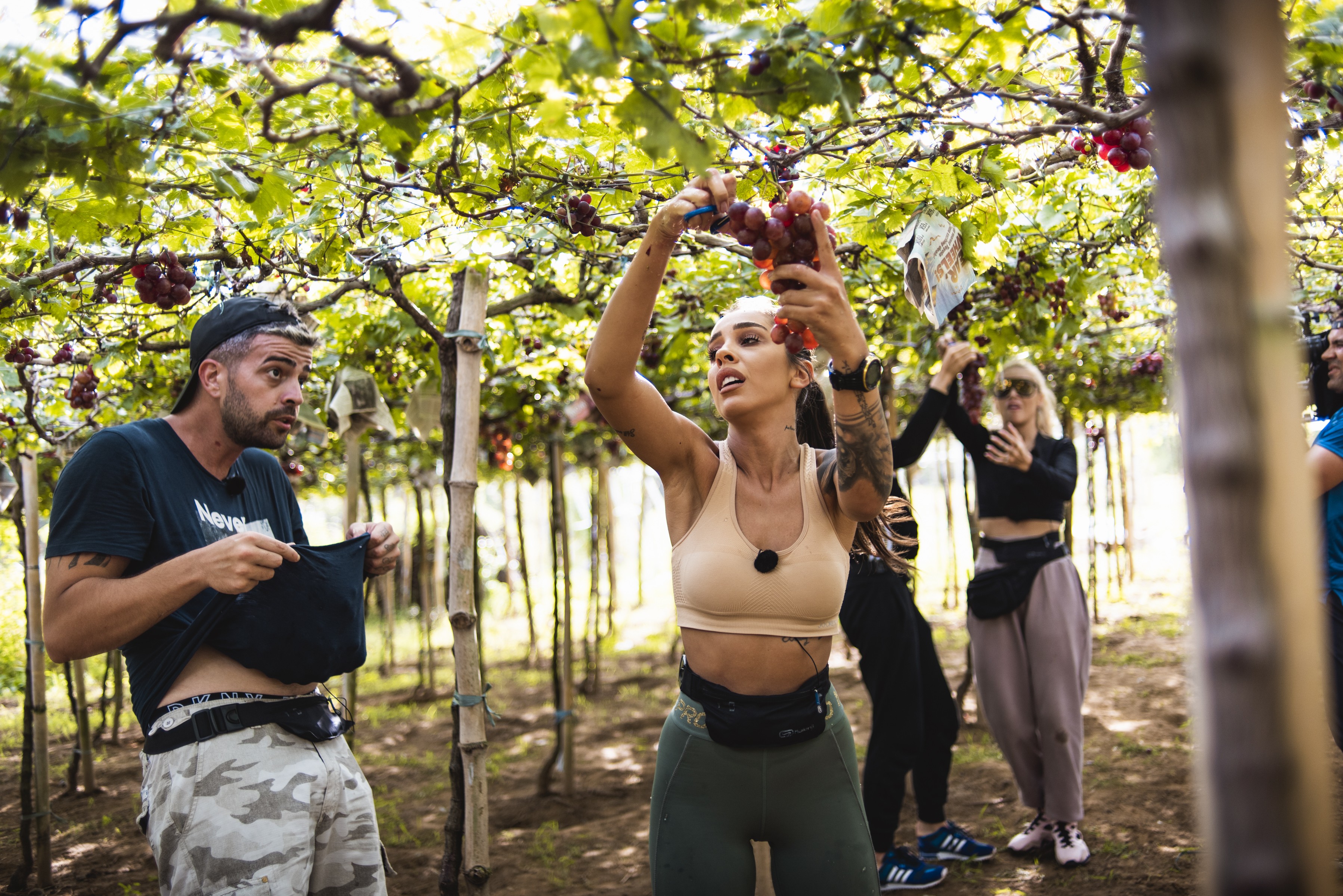 Misiune la o podgorie de vin din Bauang! Concurenţii au cules struguri şi i-au strivit cu picioarele! "Cine o băut mustul ala făcut de Ştefania, cred că o murit!"