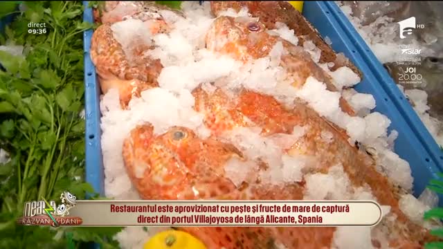 Neatza cu Răzvan și Dani. Peștele și fructele de mare, la mare căutare. Cei mai gustoși pești