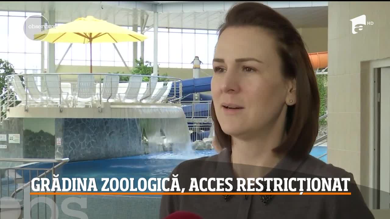 Grădina Zoologică din Brașov va restricţiona accesul &icirc;n mai multe zone