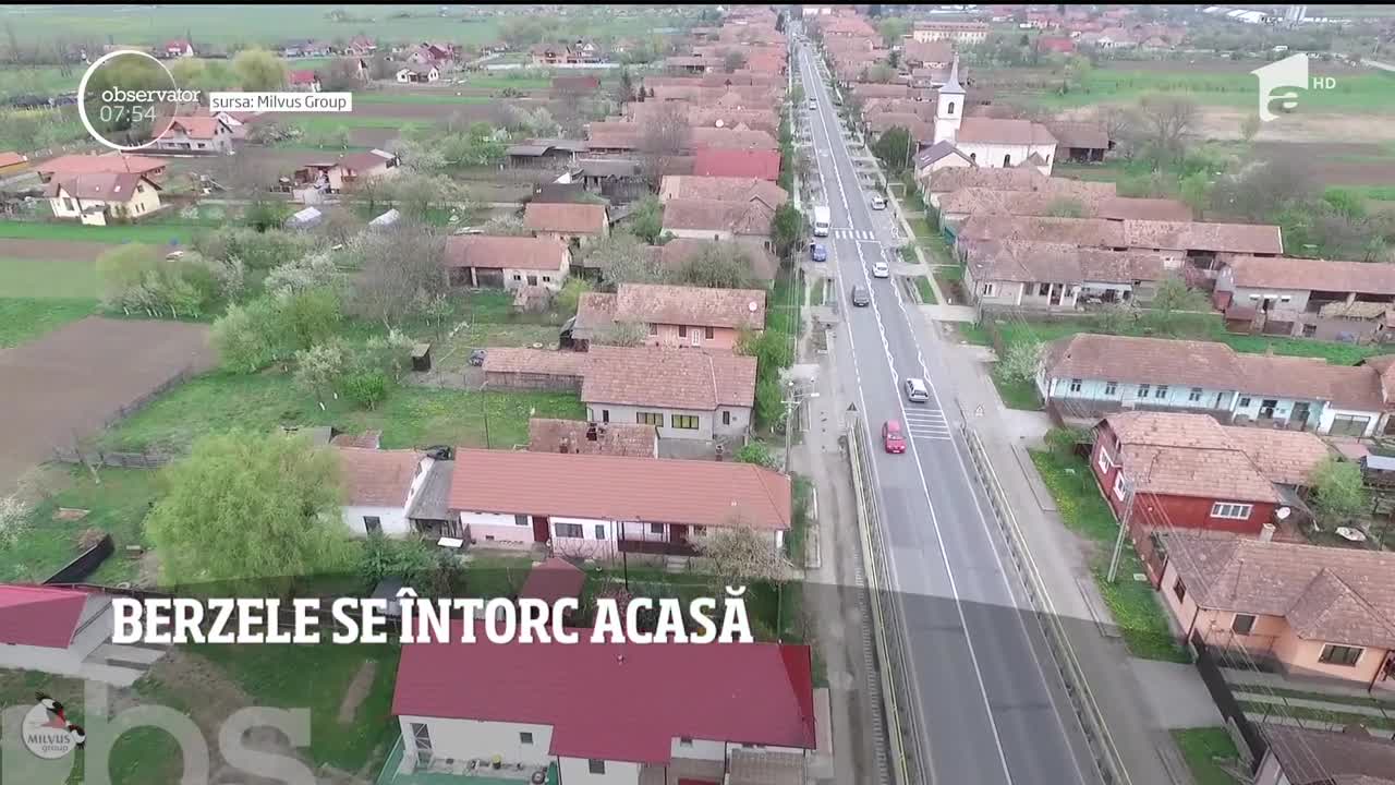 Berzele se &icirc;ntorc acasă