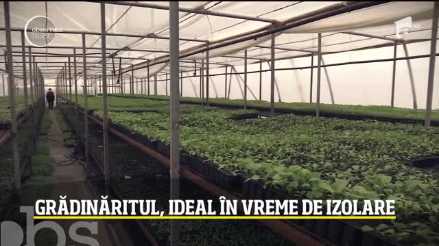 Grădinăritul, ideal &icirc;n vreme de izolare
