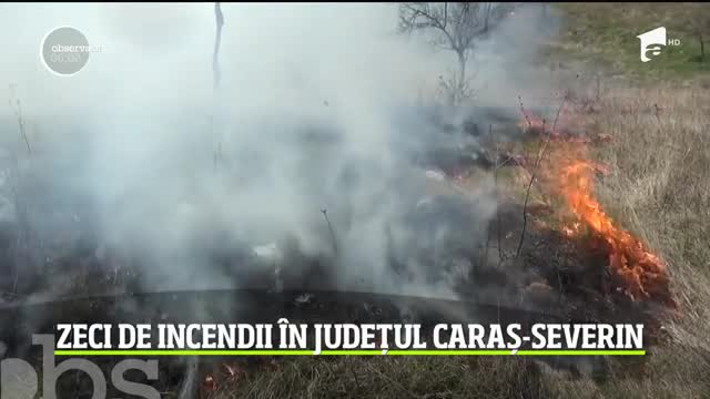 Ziua şi incendiul, &icirc;n Caraş Severin. Focurile puse de oamenii care vor să-şi cureţe c&acirc;mpurile se extind la păduri şi case