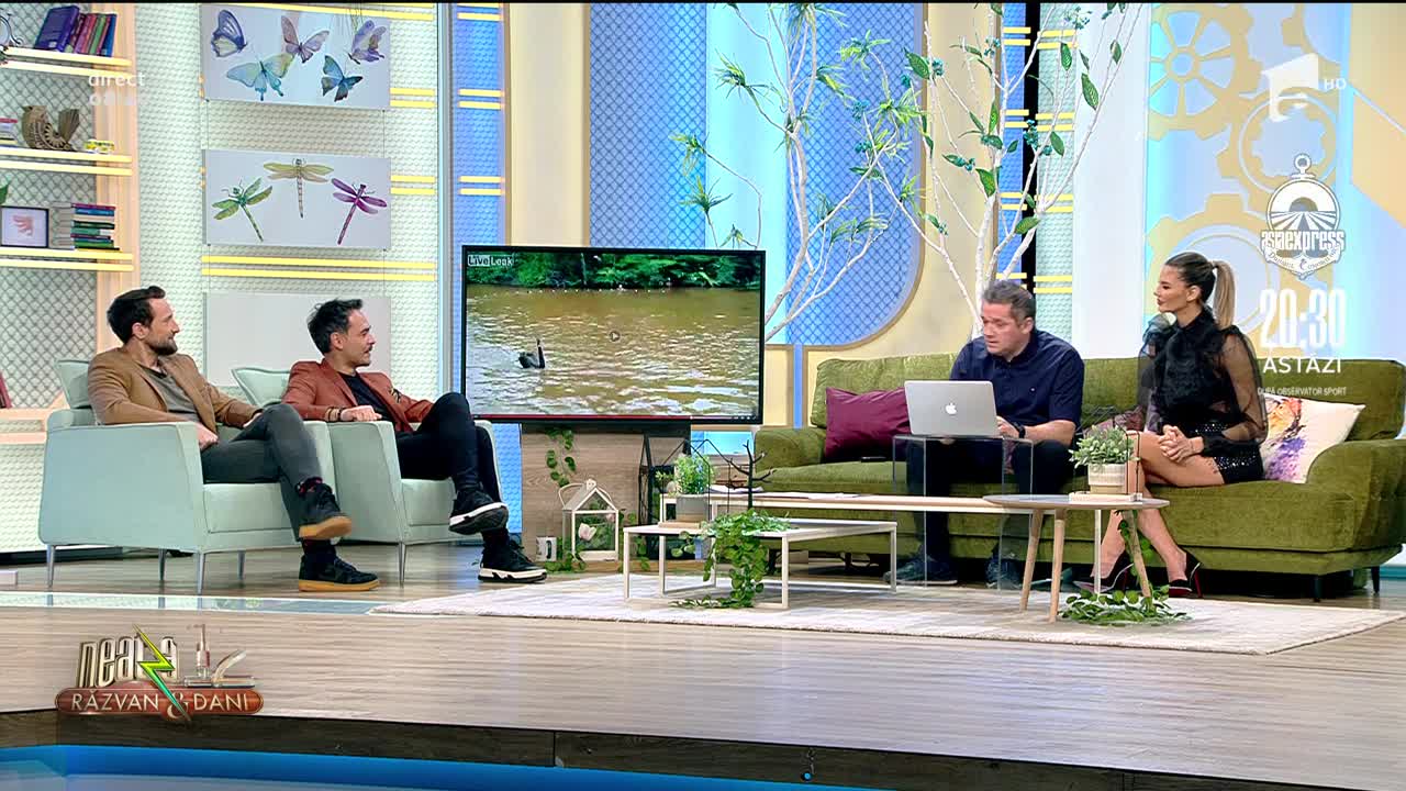 Smiley News. &Icirc;notătorul atacat de lebeda neagră