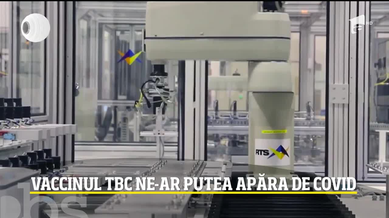 Vaccinul TBC, aliat &icirc;n lupta cu coronavirus