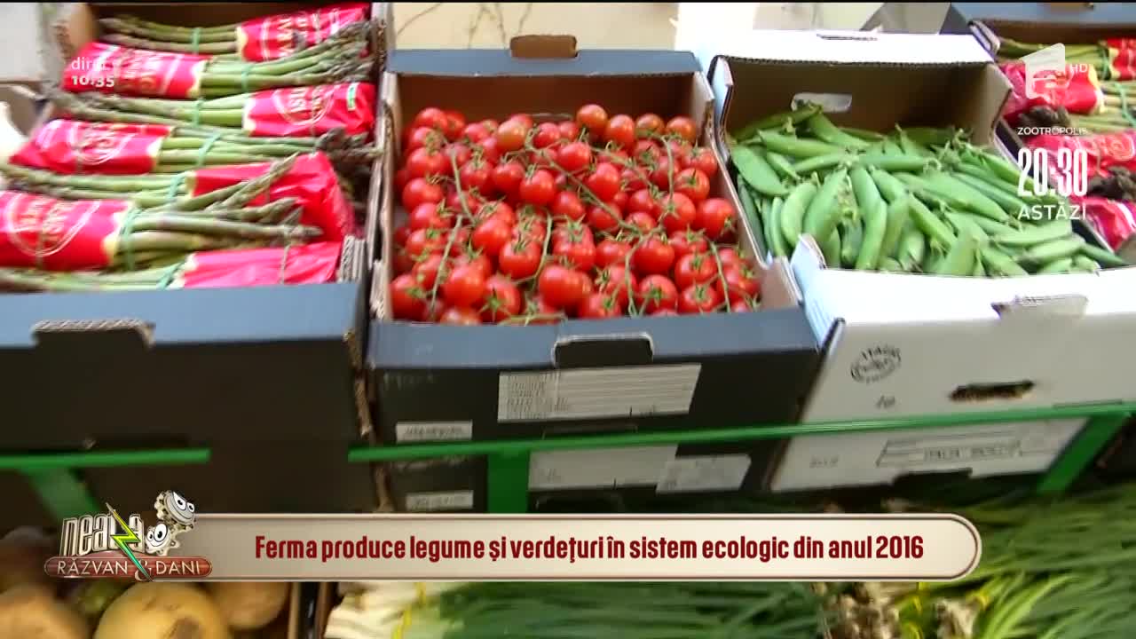 Legume de sezon și bunătăți din băcănia bio, livrate la domiciliu