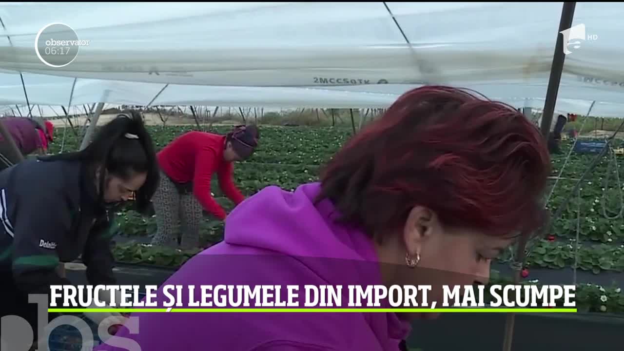 Criza cauzată de coronavirus s-a răsp&acirc;ndit şi &icirc;n agricultura europeană