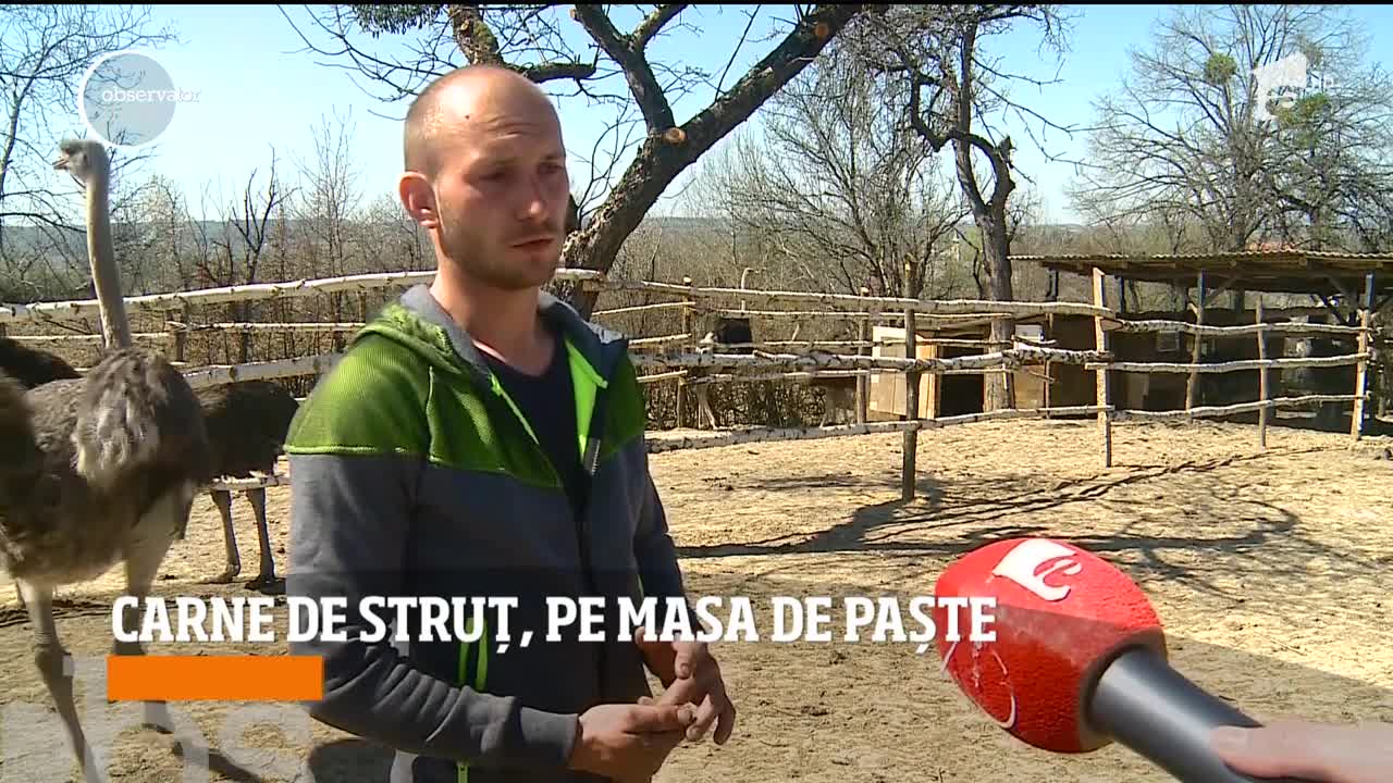 Carne de struț, pe masa de Paște