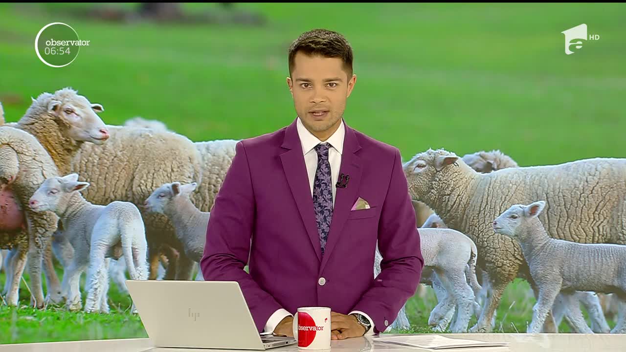 Minunea de la st&acirc;nă, mielul cu cinci picioare