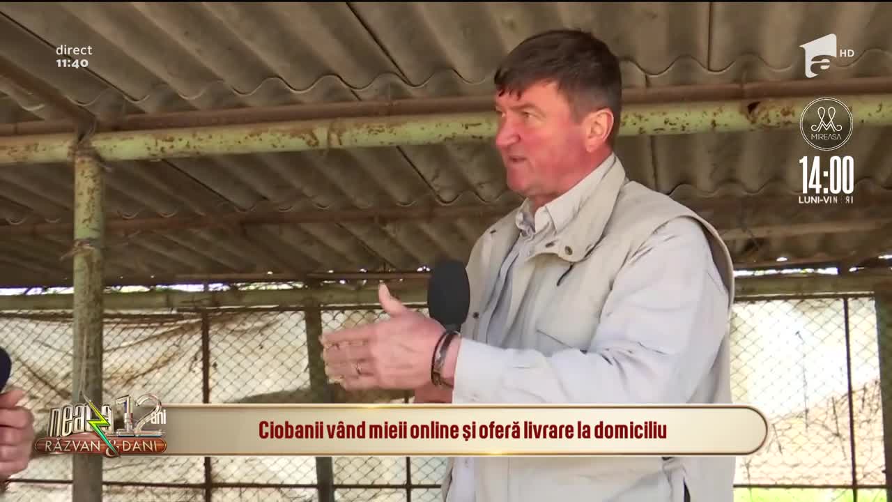 Ciobanii v&acirc;nd mieii online şi oferă livrare la domiciliu