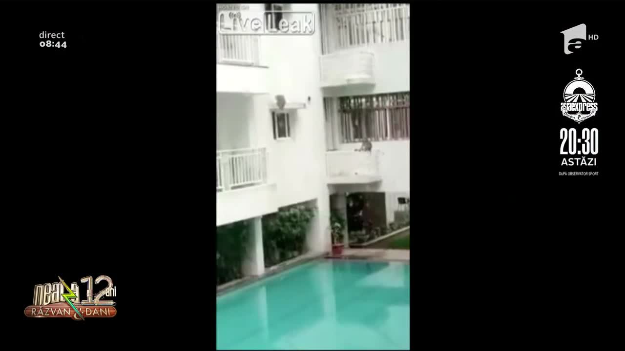 Smiley News: Maimuțele au invadat complexele de lux din țările asiatice