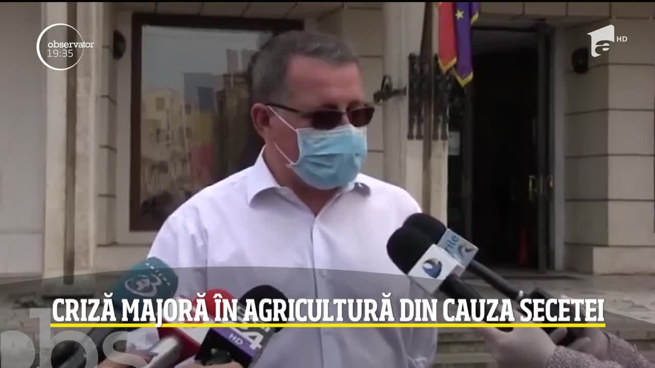 Criză majoră &icirc;n agricultură din cauza secetei