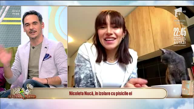 Nicoleta Nucă, &icirc;n izolare cu pisicile ei
