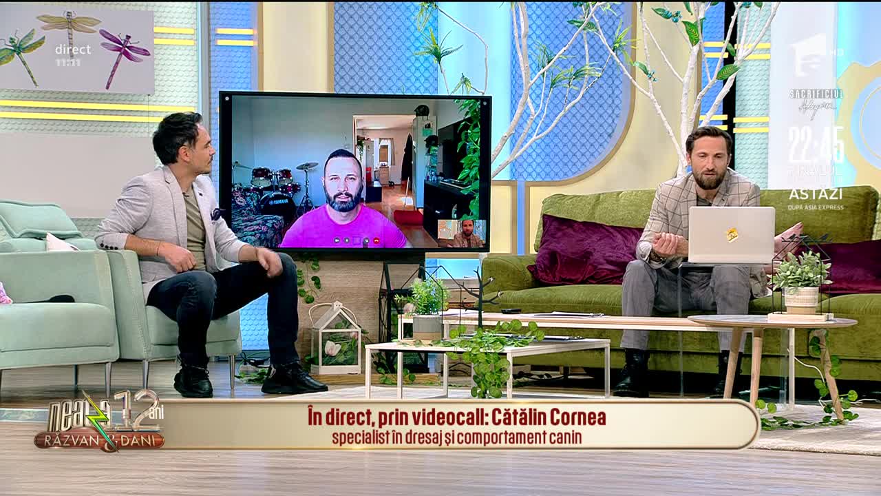 Ce putem face cu c&acirc;ine acasă, c&acirc;t timp ne aflăm &icirc;n izolare