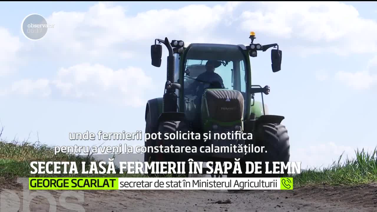 Seceta lasă fermierii &icirc;n sapă de lemn