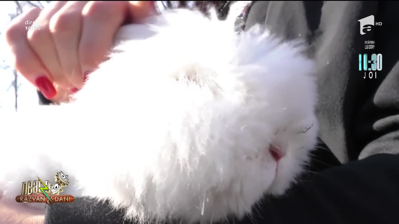 Sportiva rom&acirc;ncă care are 27 de animale de companie! Andreea Panțuroiu: Este o nebunie de-a mea