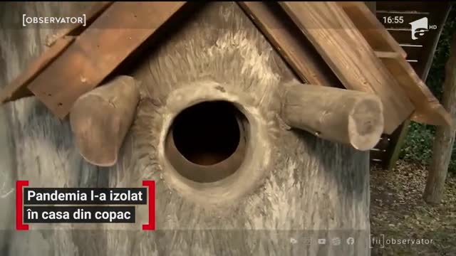 Pandemia l-a izolat pe un bărbat &icirc;ntr-o căsuţă din copac