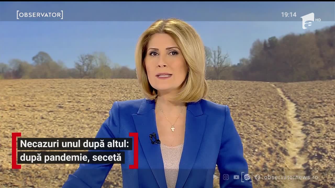 Anul acesta, culegem praf &icirc;n loc de gr&acirc;u. Seceta compromite culturile şi scumpeşete alimentele de bază