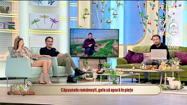 Căpșunele rom&acirc;nești, gata să apară &icirc;n piețe