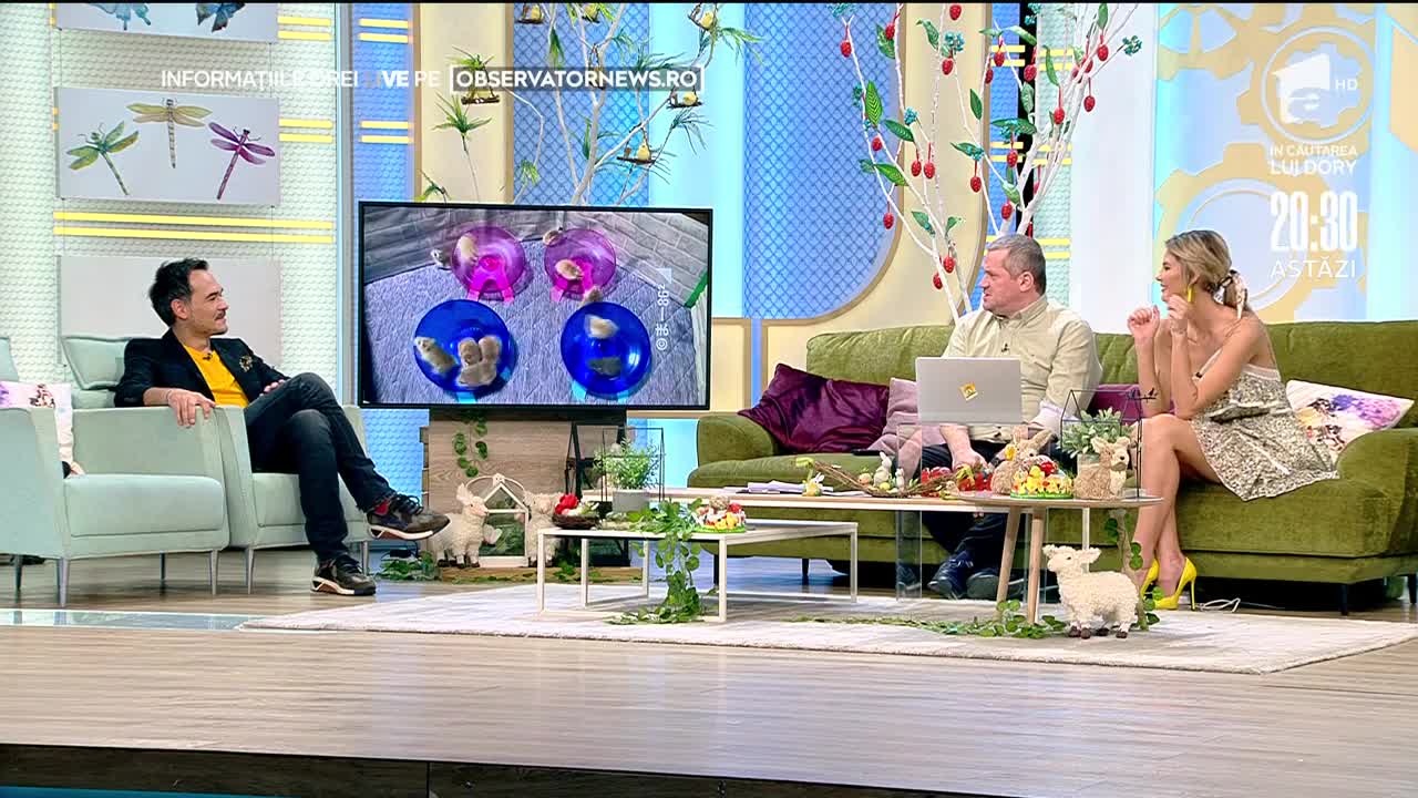 Smiley News. Cum va arată ultima zi de carantină pentru toți rom&acirc;nii