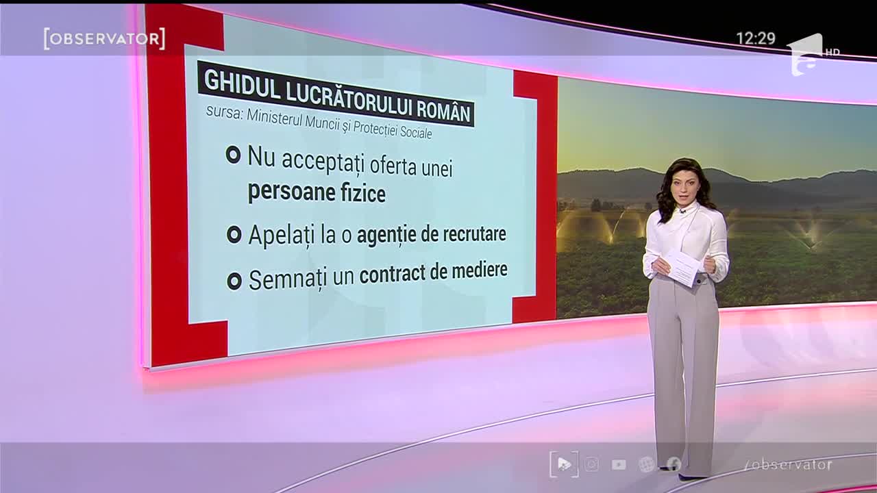 Ghidul lucrătorului rom&acirc;n. La ce trebuie să fim atenți c&acirc;nd semnăm un contract